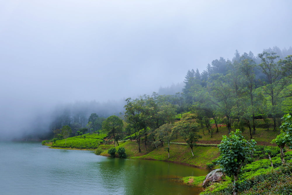 Sembuwatta lake