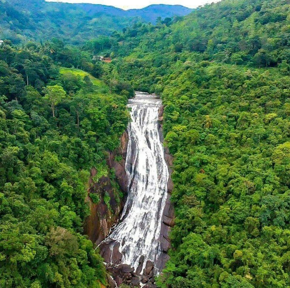 කිරිදි ඇල්ල පැල්මඩුල්ල