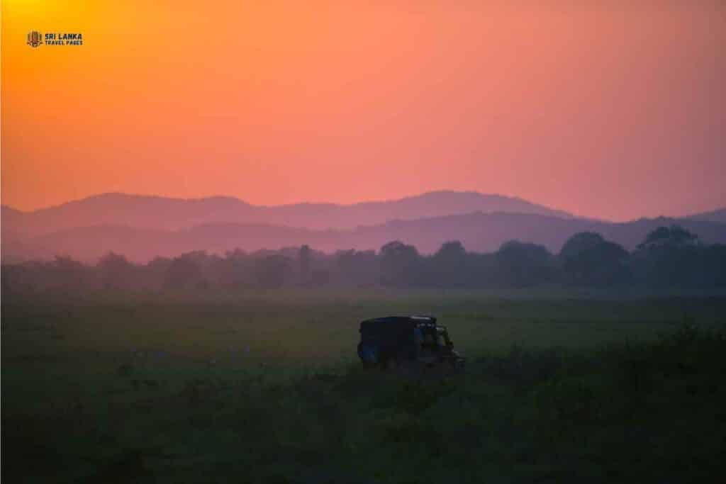 Guida turistica di Habarana