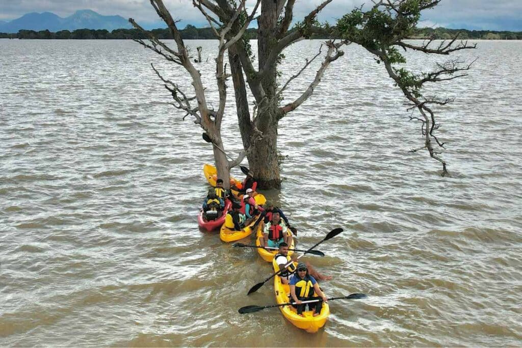 Kayaking Kalawewa in Anuradhapura