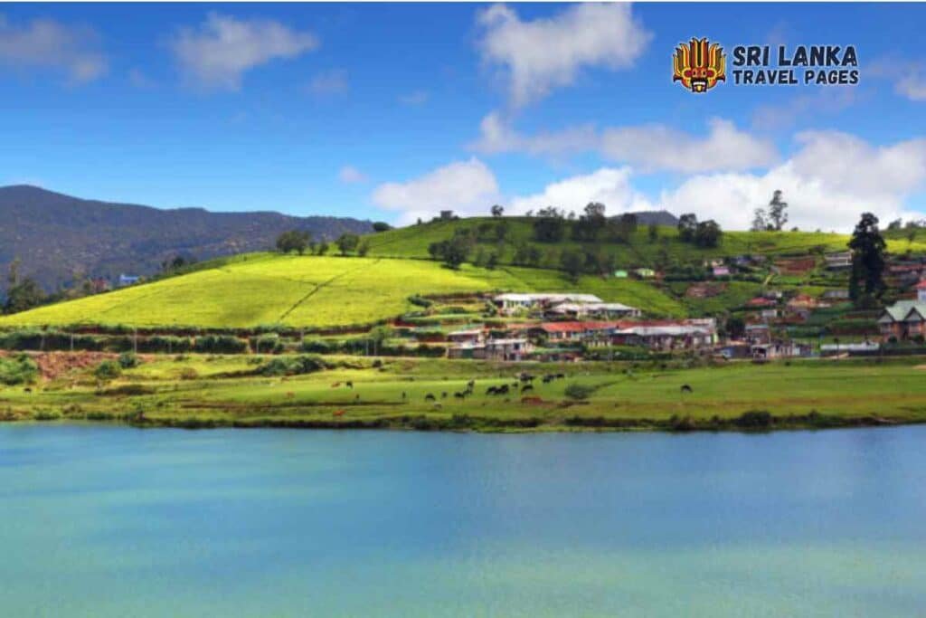 Places to visit in Nuwara Eliya