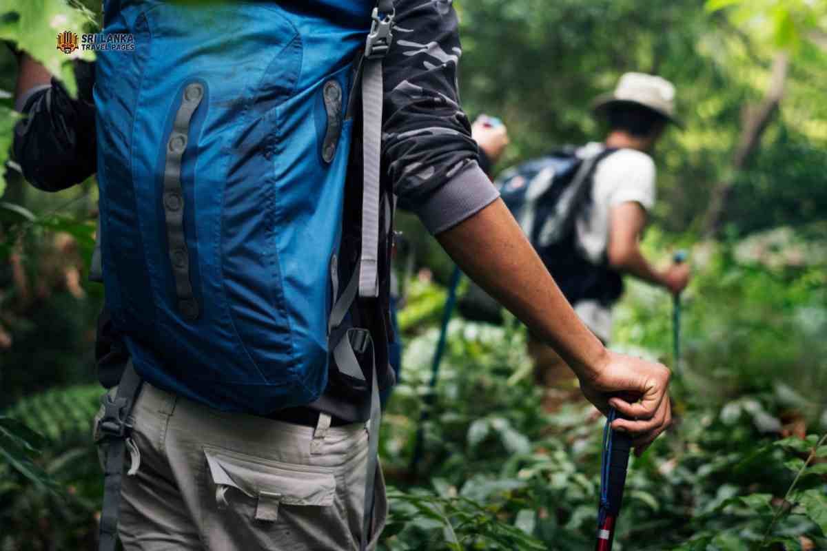 Terapia de bosque en Sri Lanka