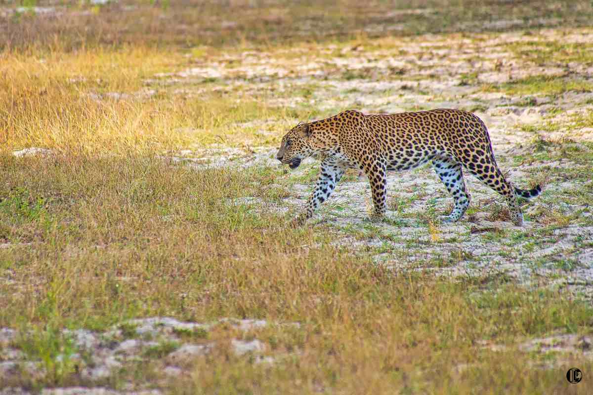 26 National Parks in Sri Lanka